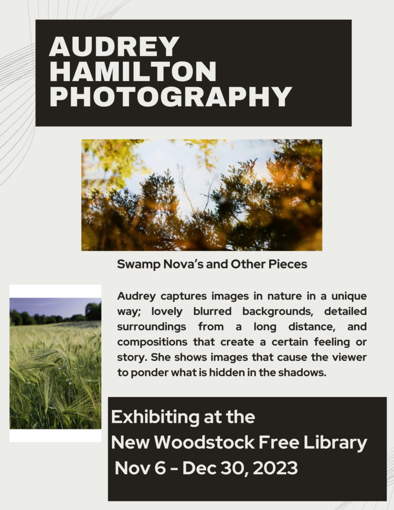 Art Exhibit Photography by Audrey Hamilton NovemberDecember 2023