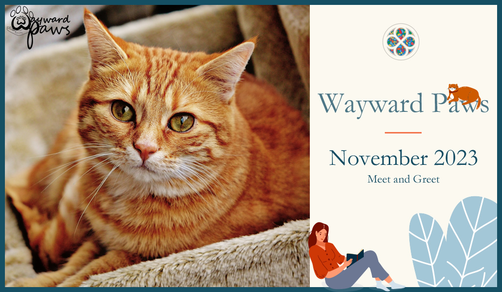 Wayward Paws November 2023